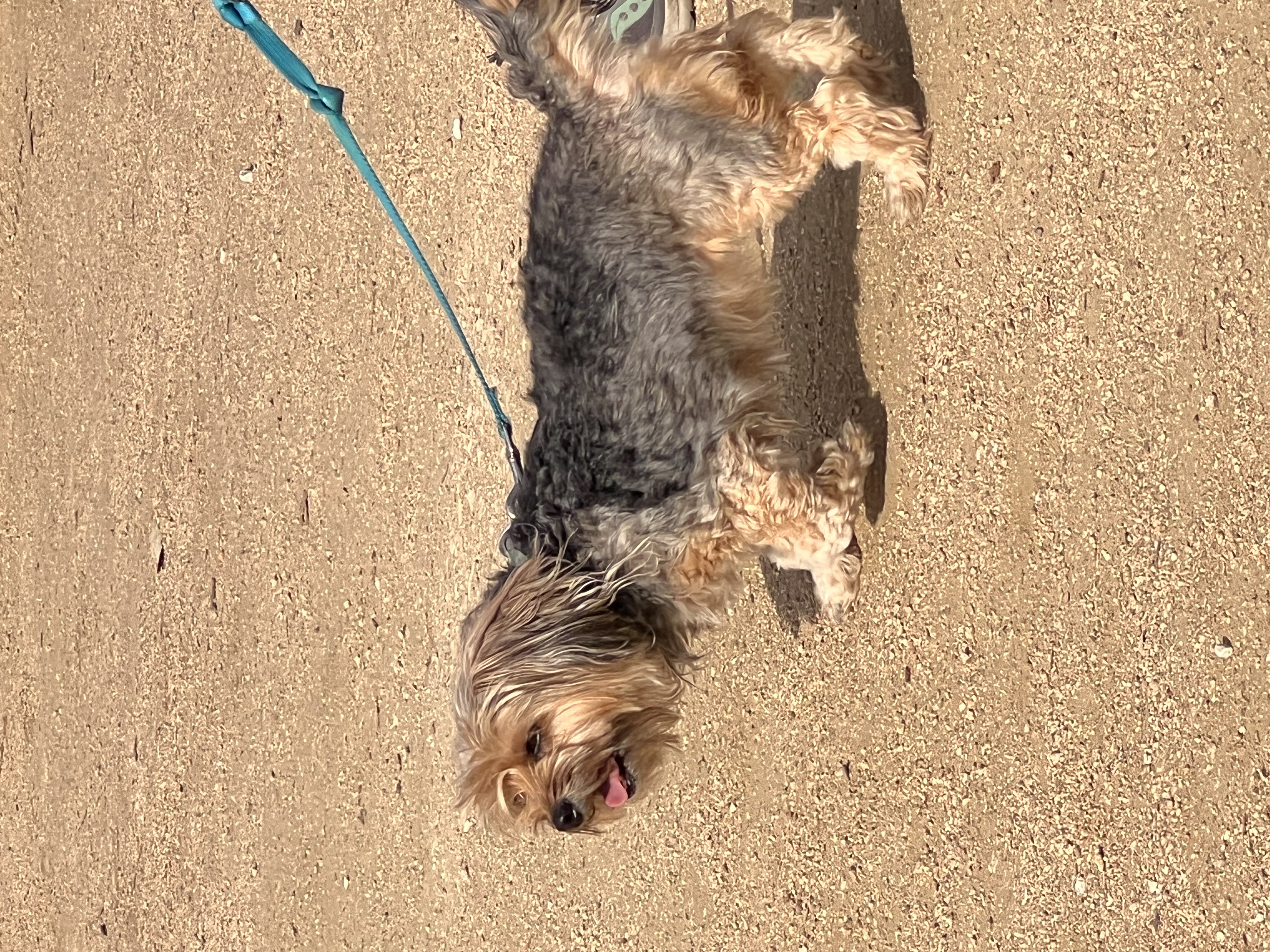 ./2023/02 - Texas/IMG_6966.JPG